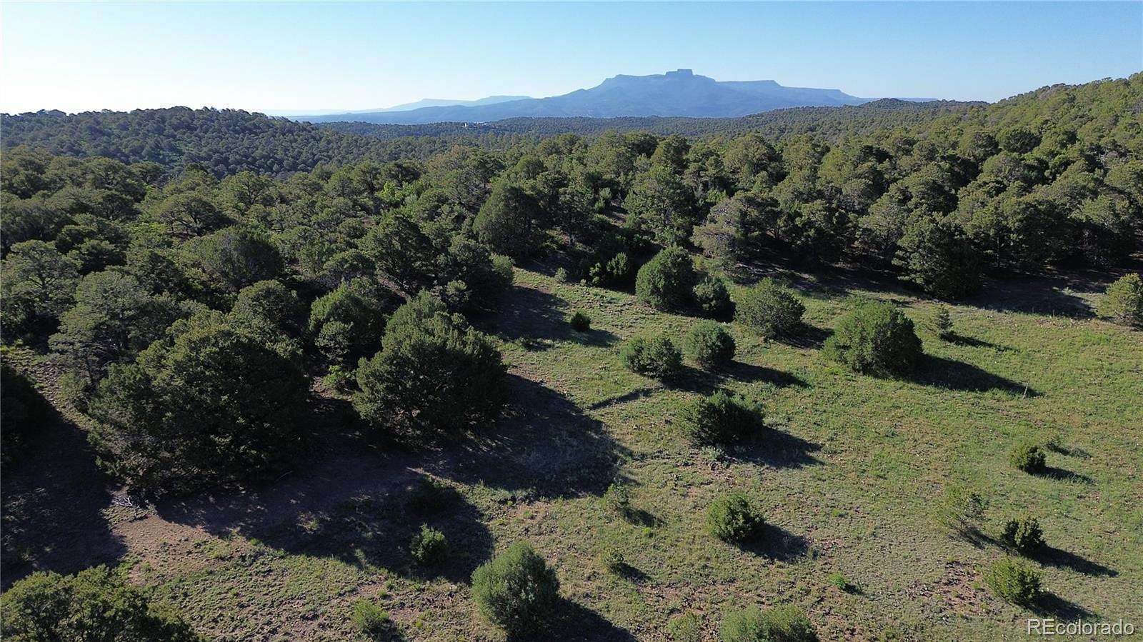 80 Acres of Recreational Land for Sale in Trinidad, Colorado