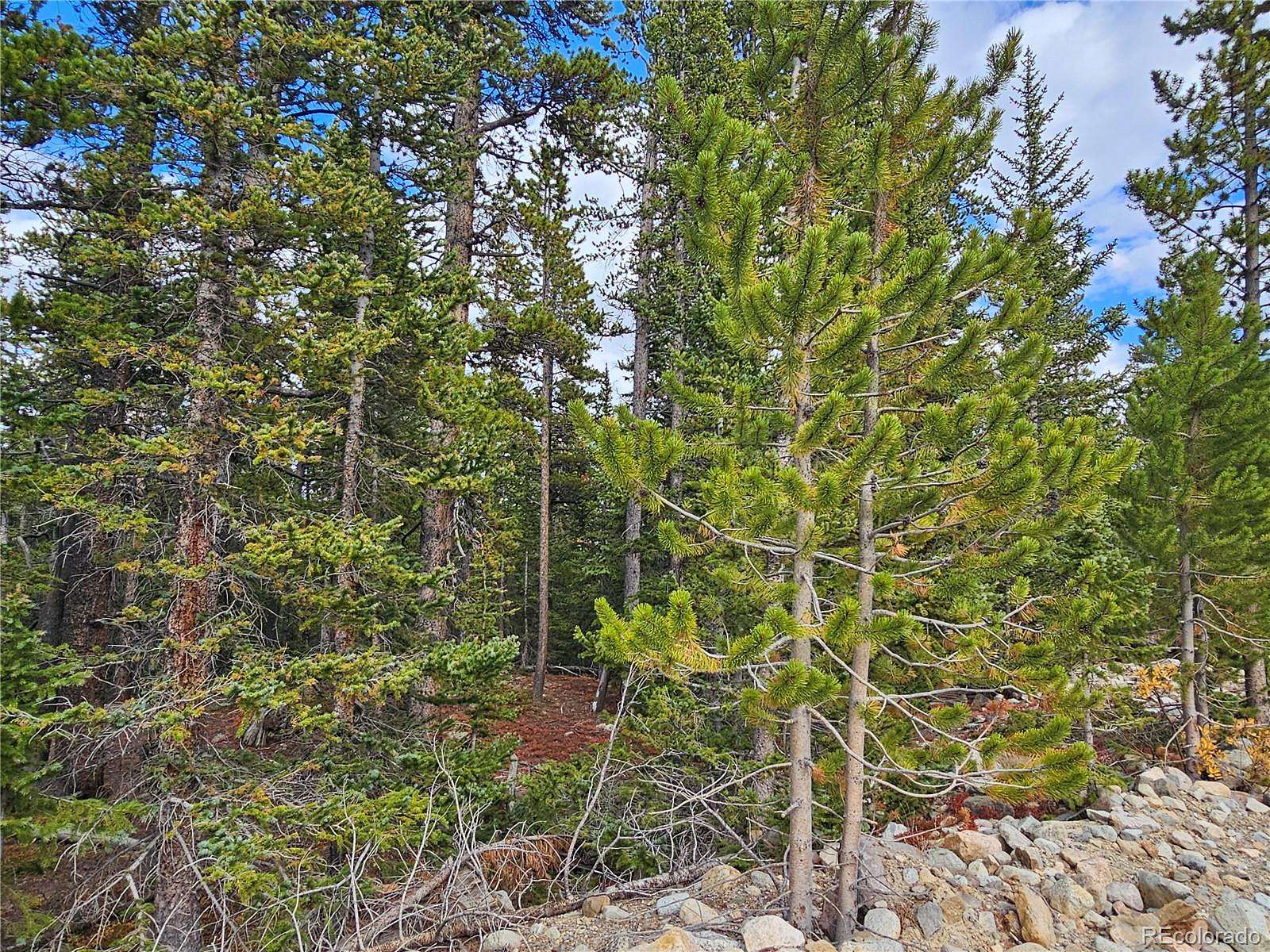 1.1 Acres of Residential Land for Sale in Fairplay, Colorado