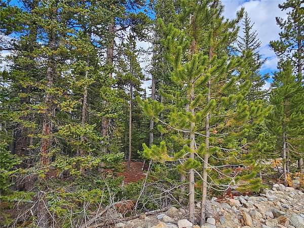 1.1 Acres of Residential Land for Sale in Fairplay, Colorado