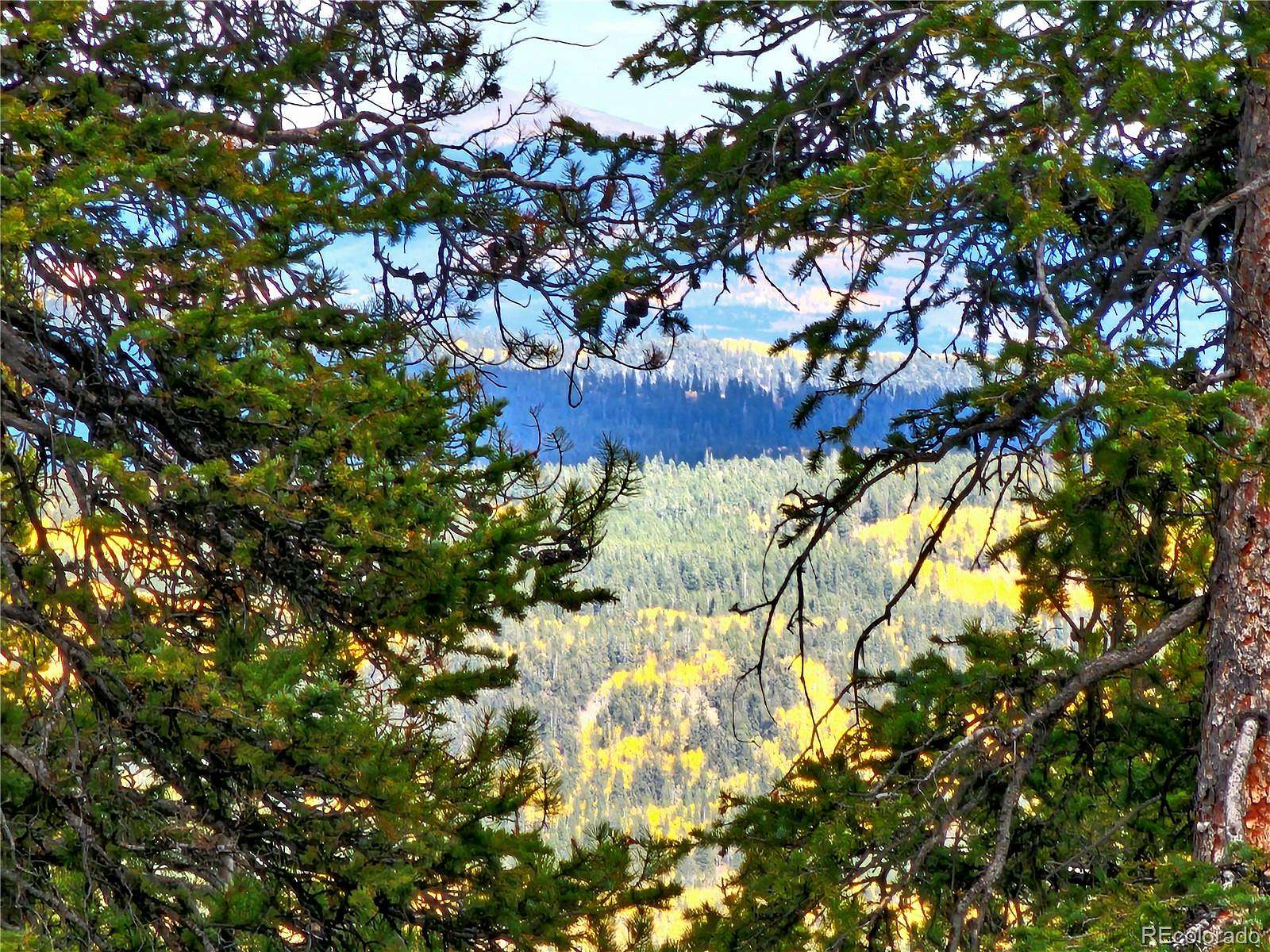 1 Acre of Residential Land for Sale in Fairplay, Colorado