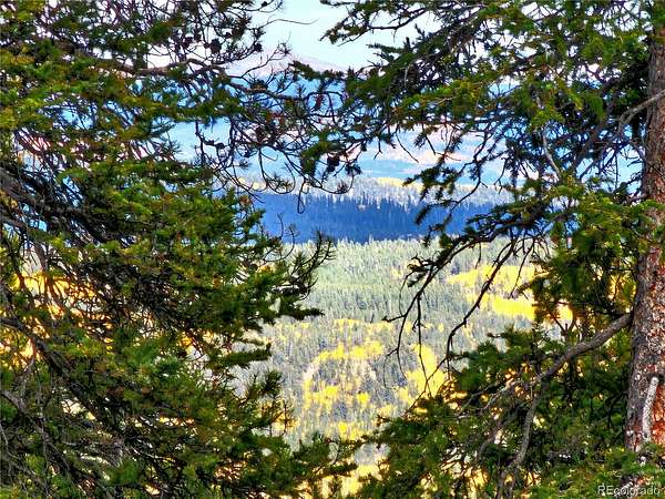 1 Acre of Residential Land for Sale in Fairplay, Colorado