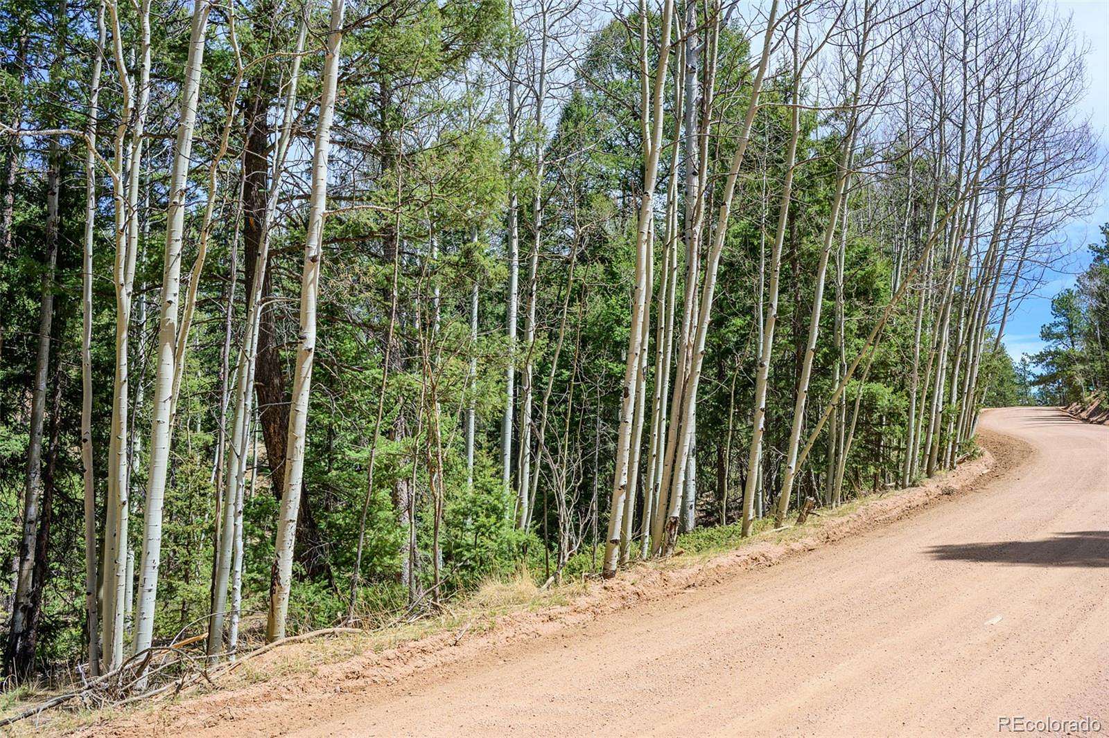 0.54 Acres of Residential Land for Sale in Florissant, Colorado