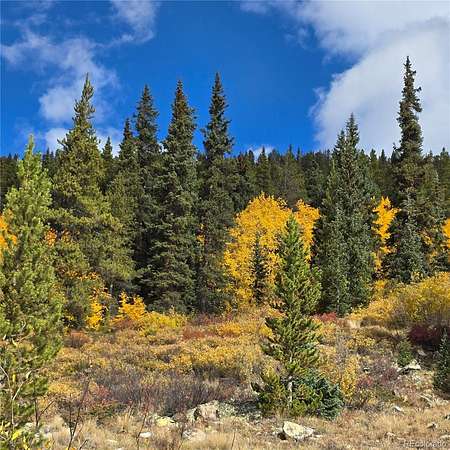 58.4 Acres of Recreational Land for Sale in Leadville, Colorado