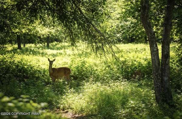 0.36 Acres of Residential Land for Sale in Albrightsville, Pennsylvania