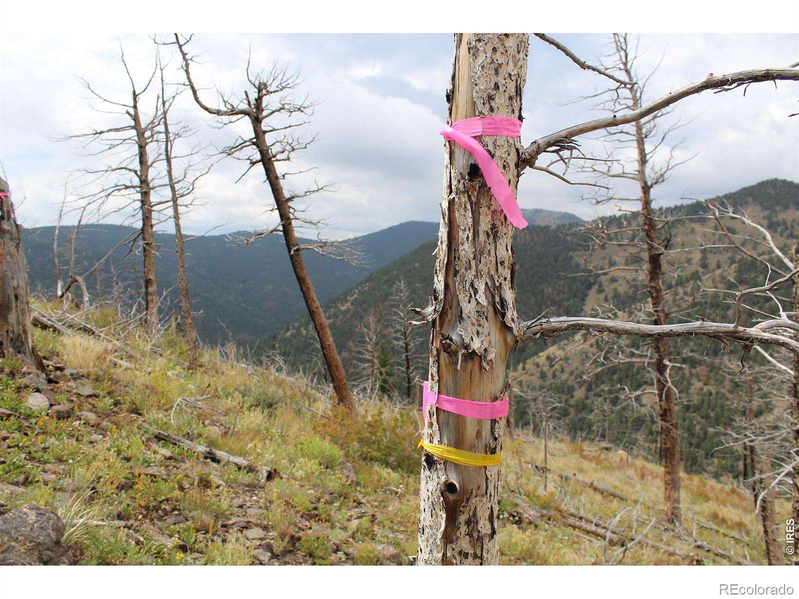 2 Acres of Land for Sale in Boulder, Colorado