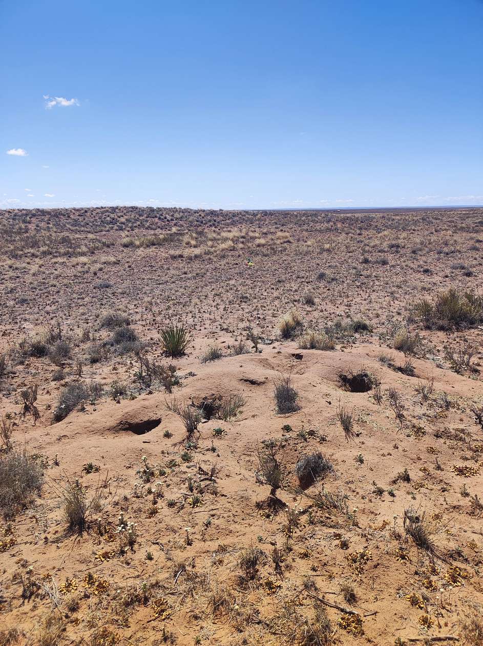 2.5 Acres of Residential Land for Sale in Sun Valley, Arizona