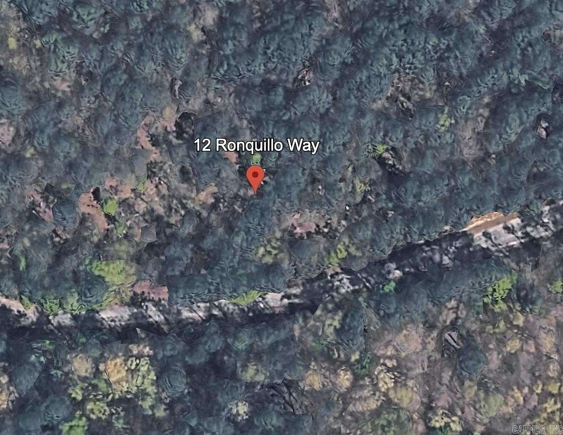 0.31 Acres of Residential Land for Sale in Hot Springs Village, Arkansas