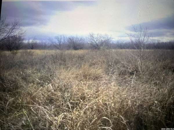 8.43 Acres of Land for Sale in Devine, Texas