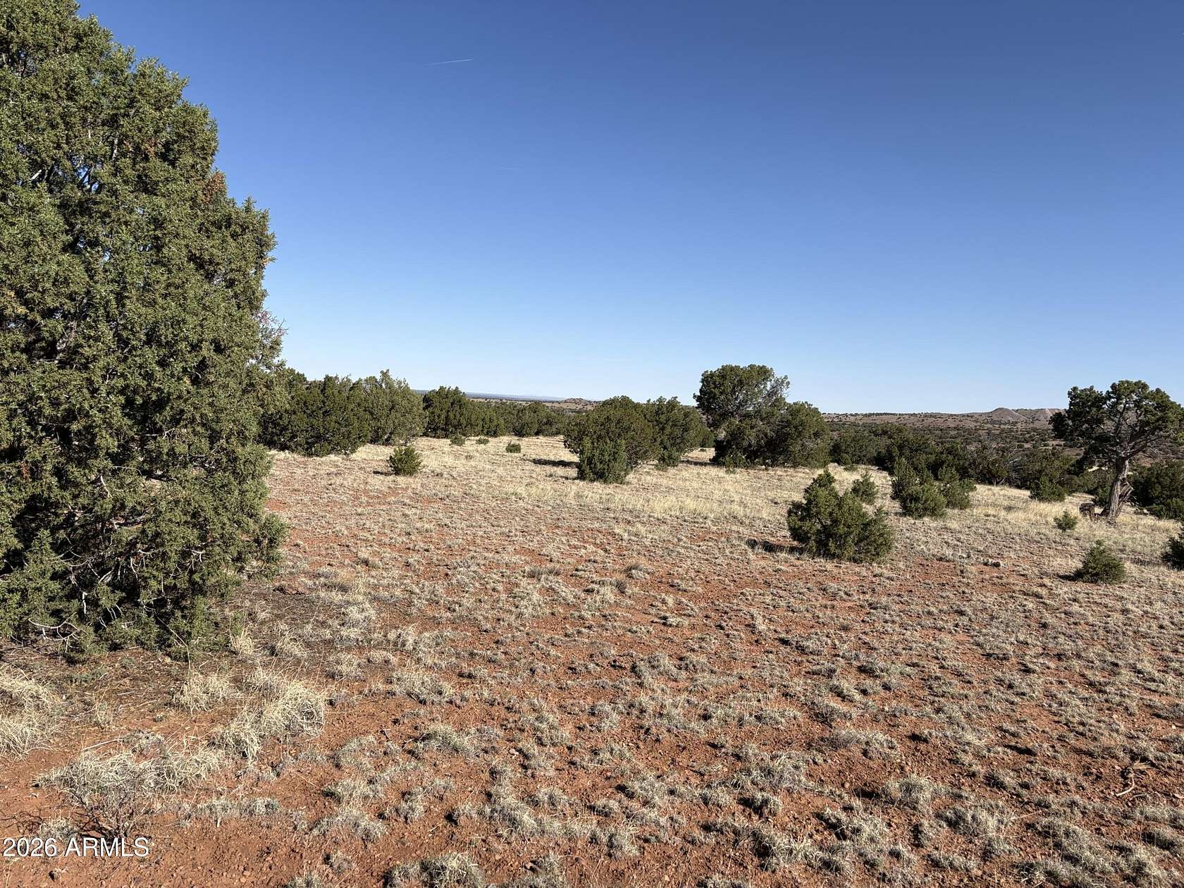 36.8 Acres of Land for Sale in Concho, Arizona