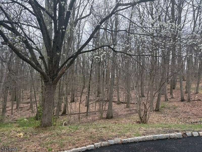 4.78 Acres of Residential Land for Sale in Mount Olive Township, New Jersey