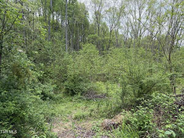 0.81 Acres of Residential Land for Sale in Jonesborough, Tennessee