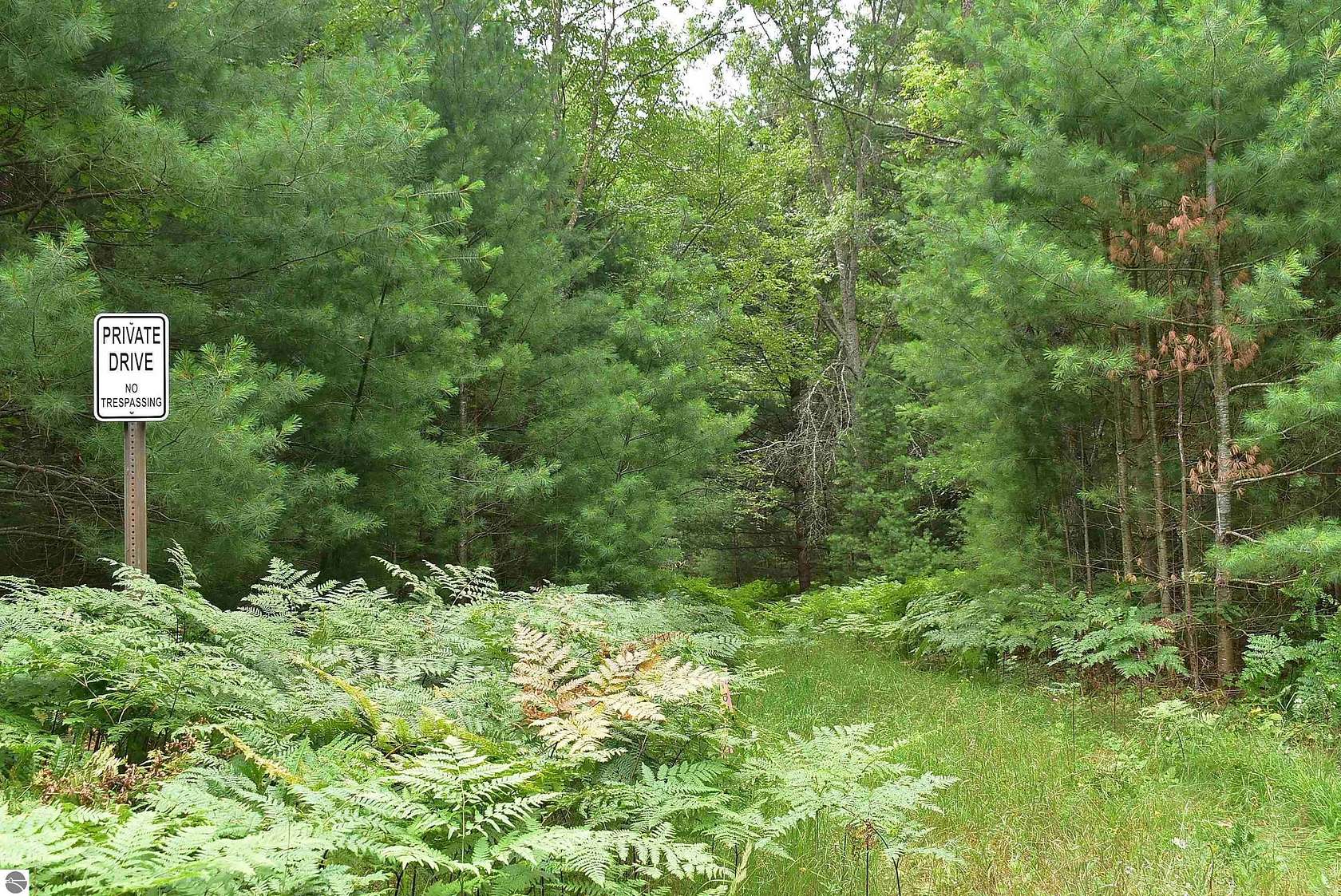 39.9 Acres of Recreational Land for Sale in Kingsley, Michigan