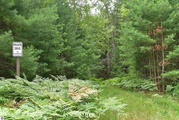 39.9 Acres of Recreational Land for Sale in Kingsley, Michigan