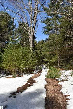 39.9 Acres of Recreational Land for Sale in Kingsley, Michigan
