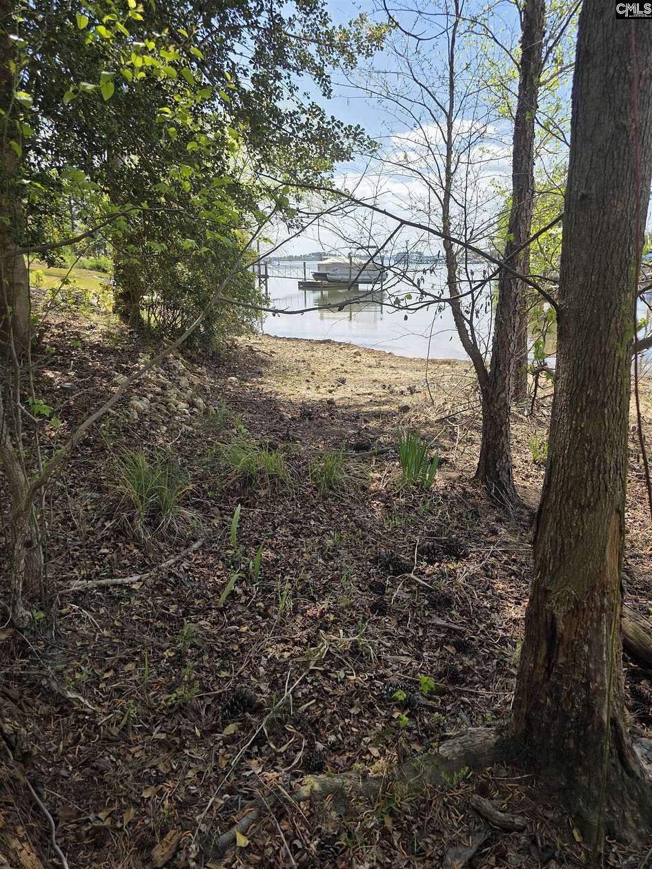 0.39 Acres of Residential Land for Sale in Chapin, South Carolina