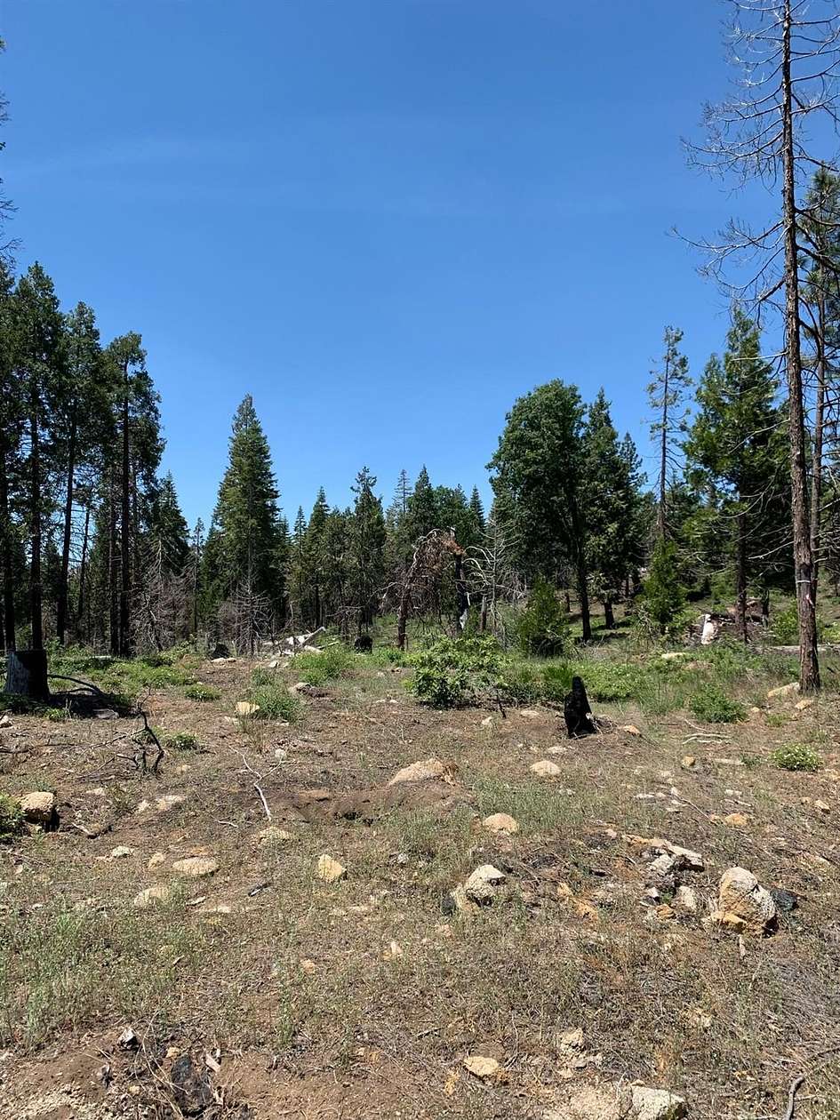 5 Acres of Land for Sale in Shaver Lake, California