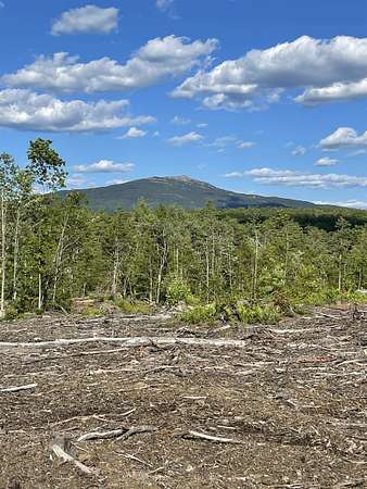 29.3 Acres of Land for Sale in Marlborough, New Hampshire