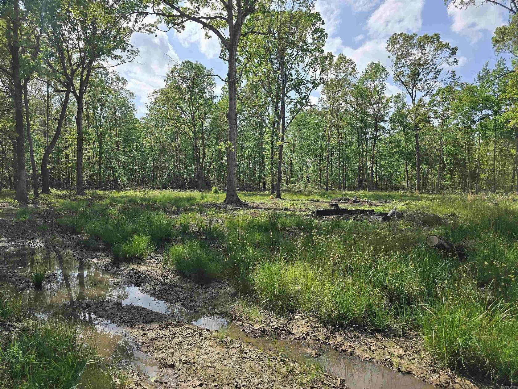 6 Acres of Residential Land for Sale in McRae, Arkansas