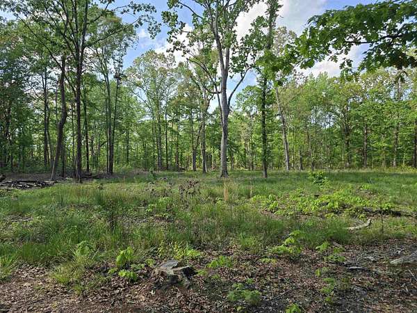 6 Acres of Residential Land for Sale in McRae, Arkansas