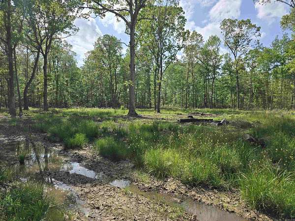 6 Acres of Residential Land for Sale in McRae, Arkansas