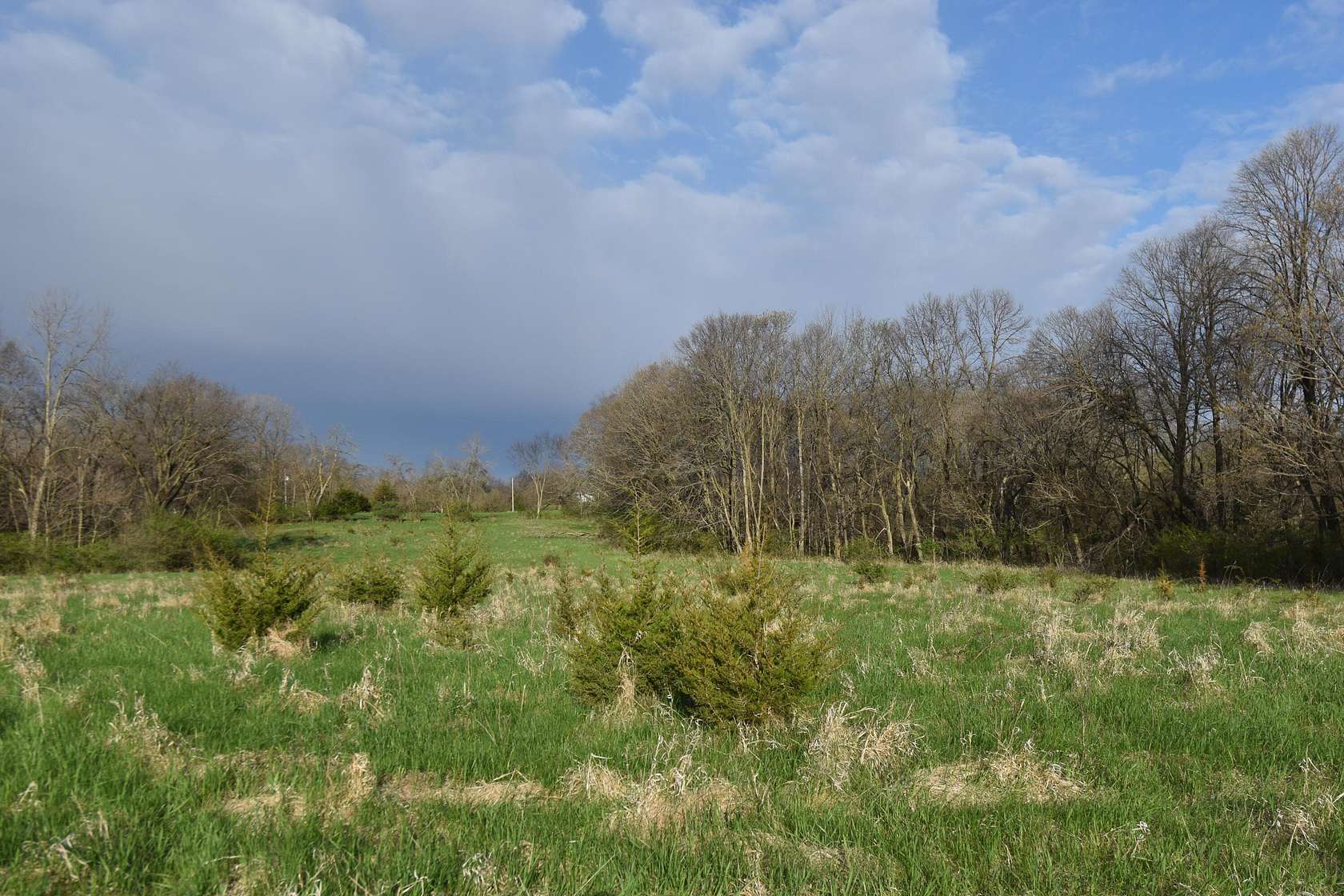 33.2 Acres of Land for Sale in Boone, Iowa