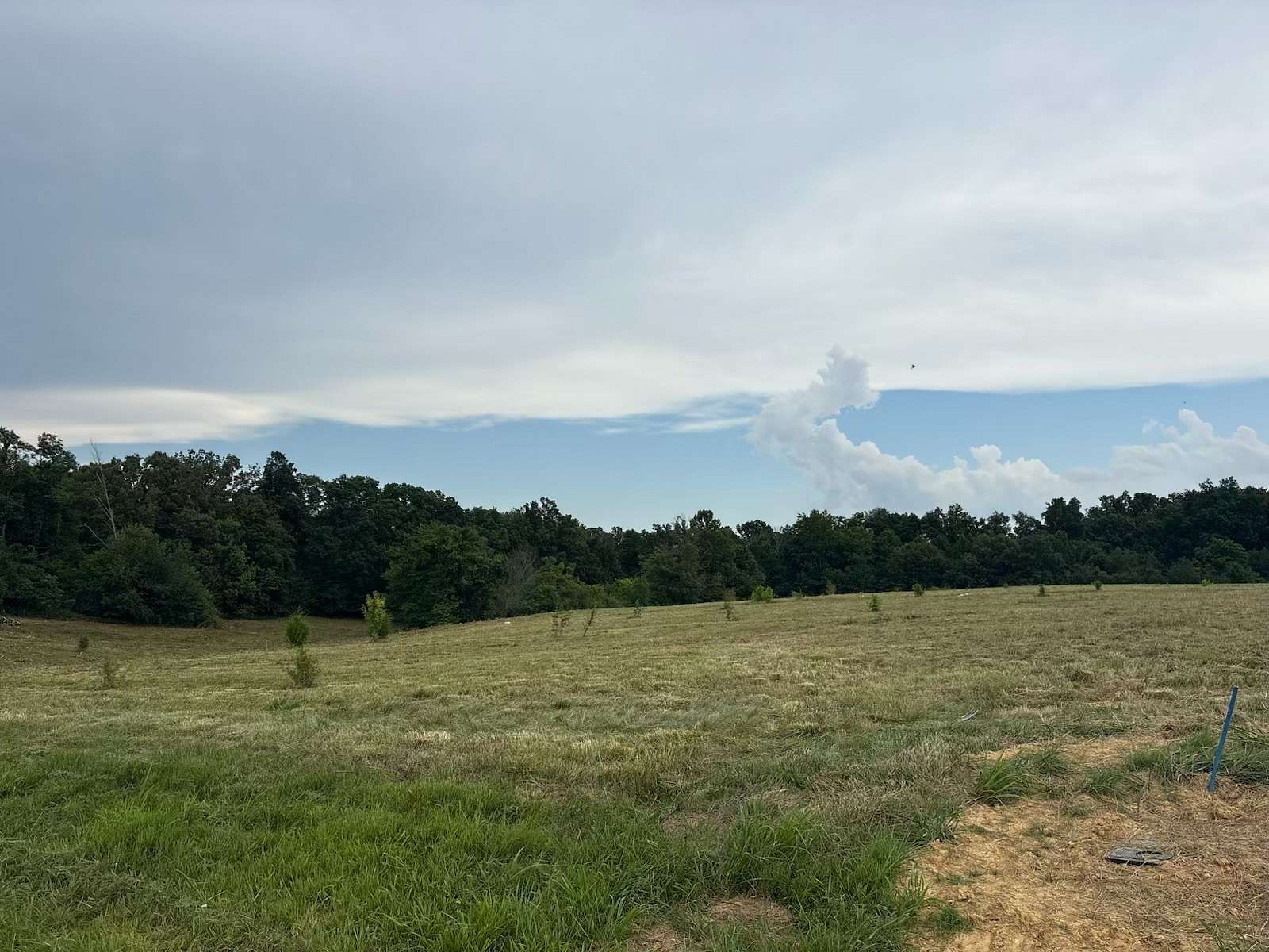 5.44 Acres of Residential Land for Sale in Westmoreland, Tennessee