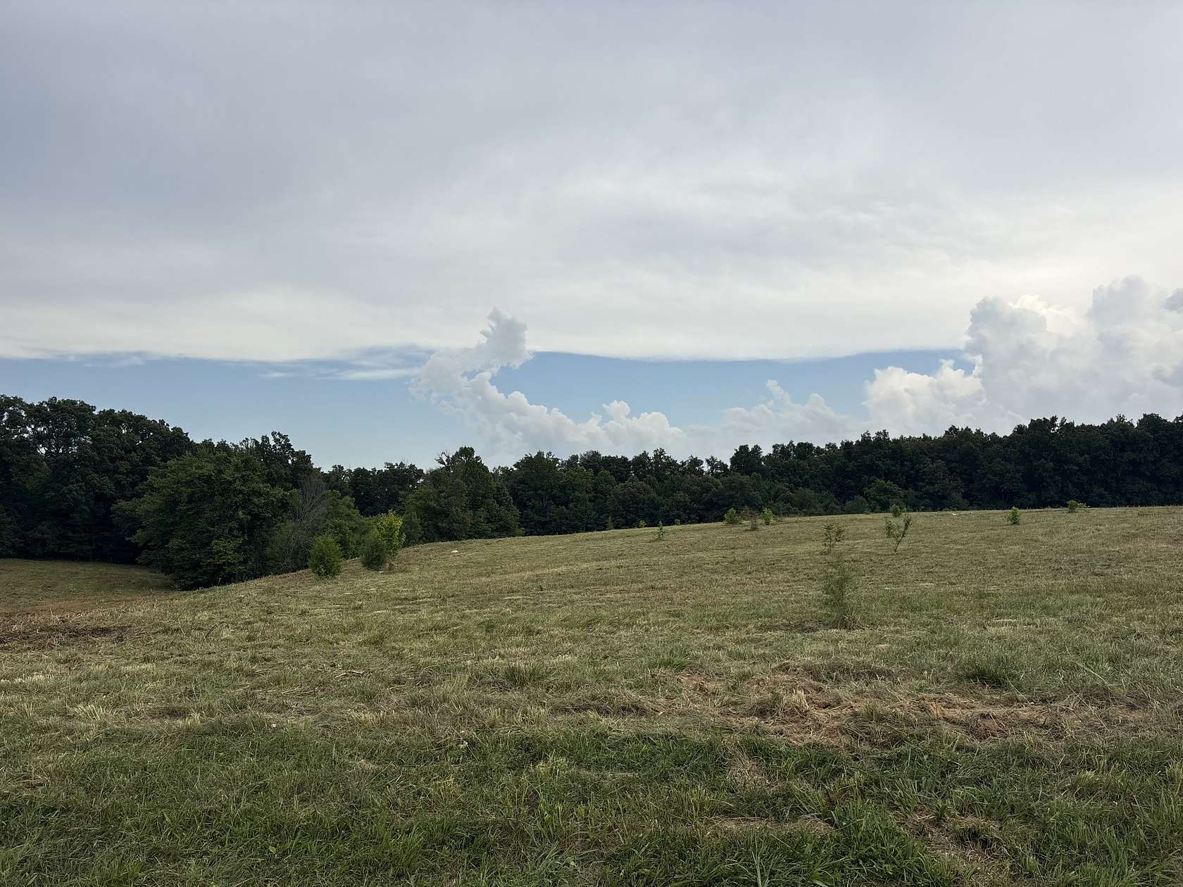 5.44 Acres of Residential Land for Sale in Westmoreland, Tennessee