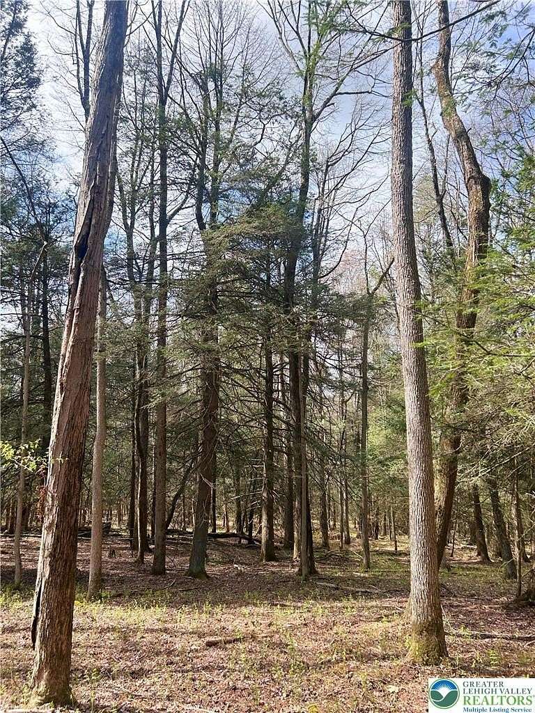 35.9 Acres of Recreational & Residential Land for Sale in Kunkletown, Pennsylvania