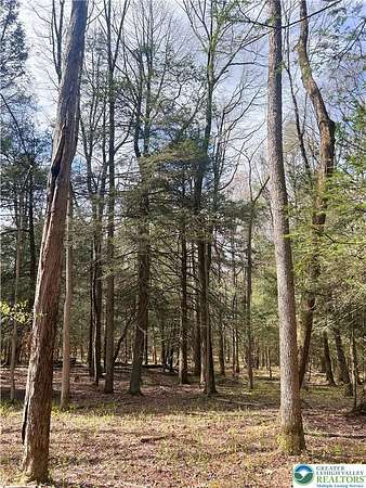 35.9 Acres of Recreational & Residential Land for Sale in Kunkletown, Pennsylvania