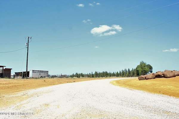 80 Acres of Recreational & Residential Land for Sale in Lucedale, Mississippi