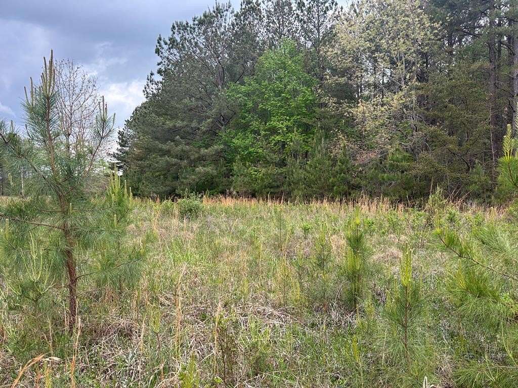4.57 Acres of Land for Sale in Spencer, Tennessee