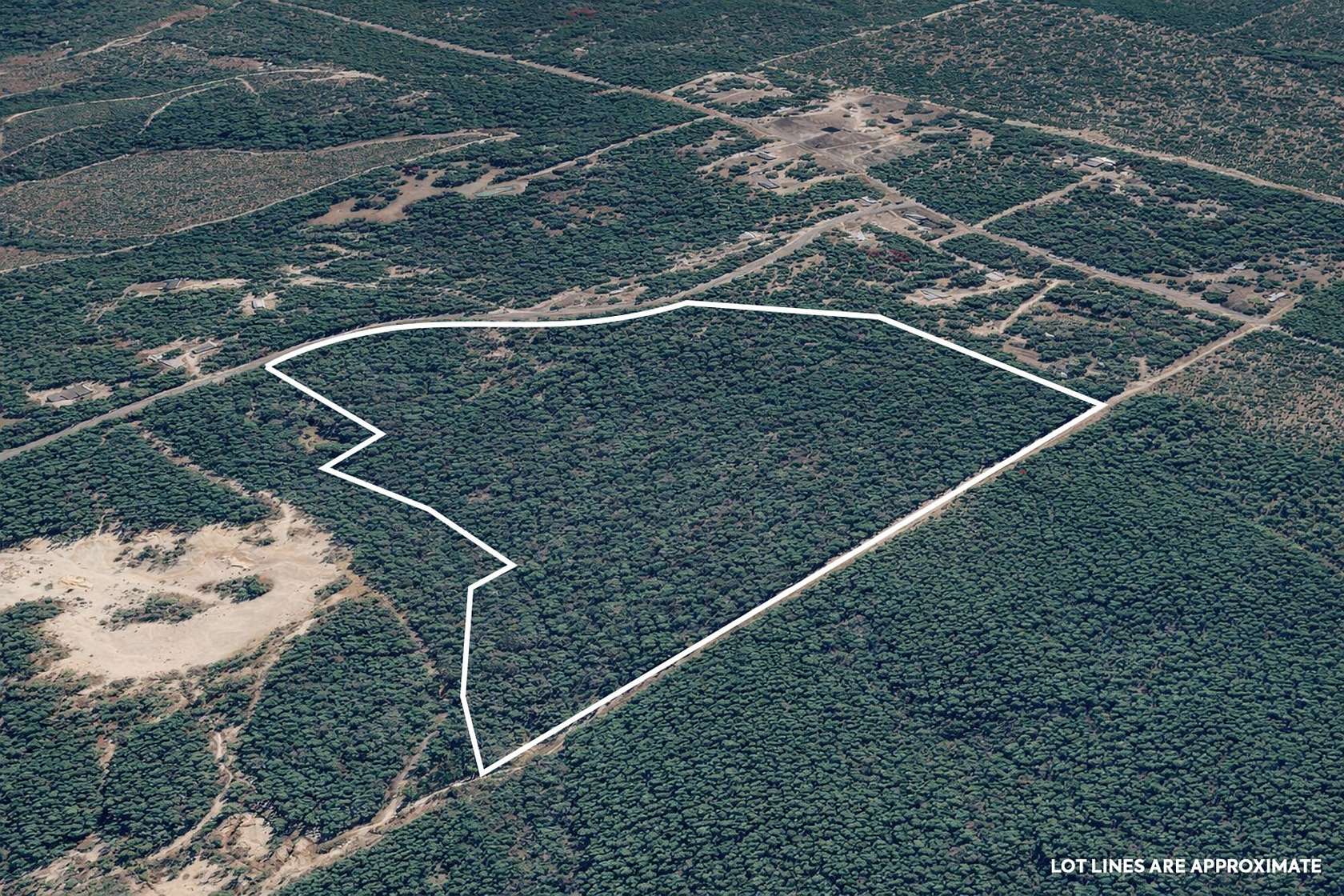 40.2 Acres of Recreational Land for Sale in DeFuniak Springs, Florida