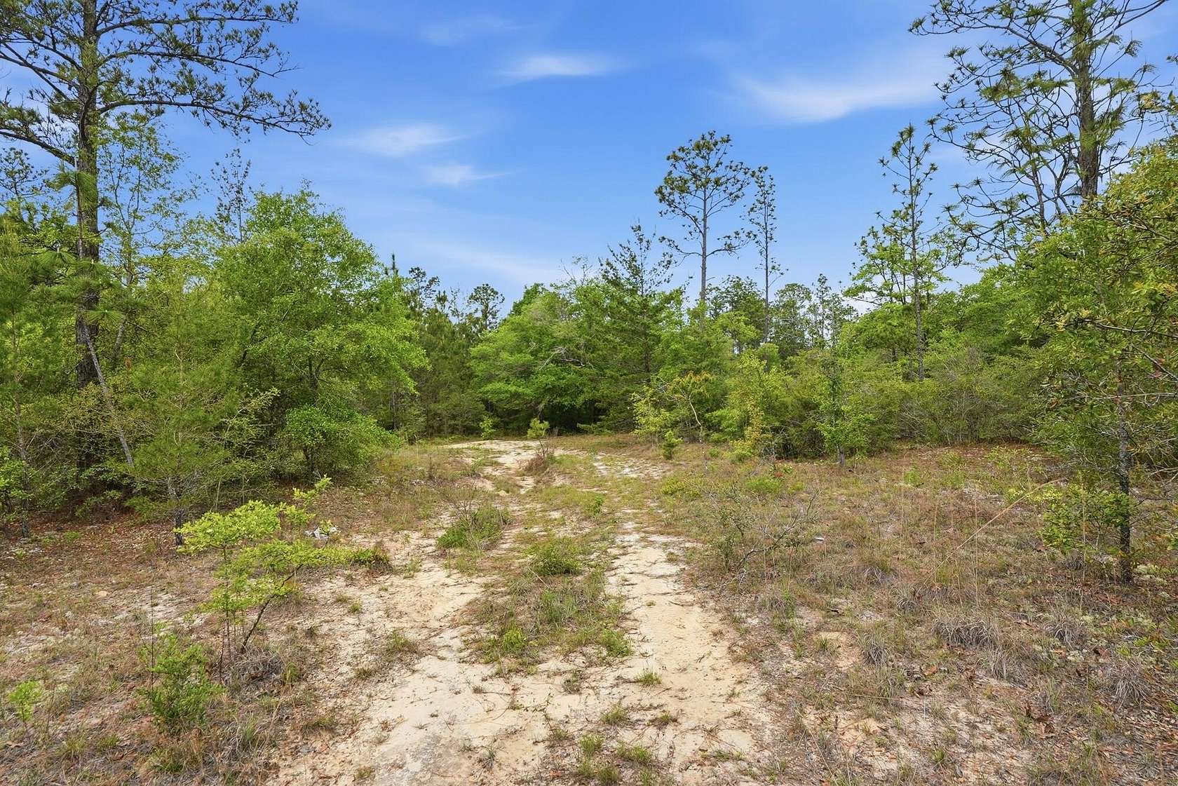 40.2 Acres of Recreational Land for Sale in DeFuniak Springs, Florida