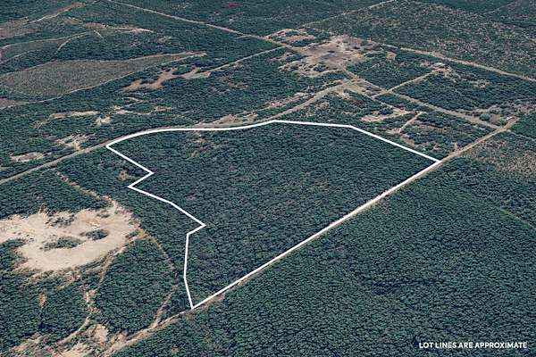 40.2 Acres of Recreational Land for Sale in DeFuniak Springs, Florida