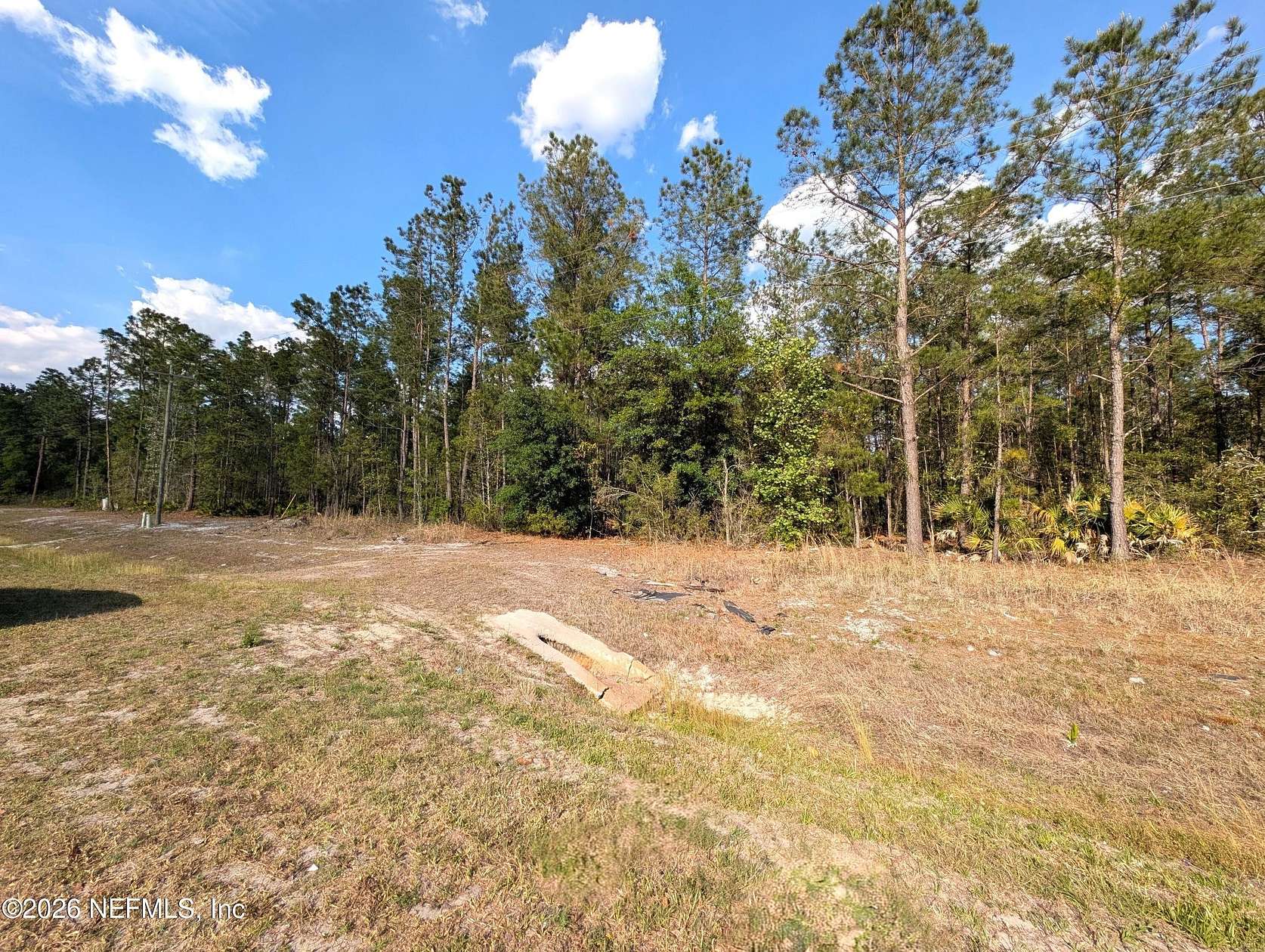 5.1 Acres of Land for Sale in Waldo, Florida