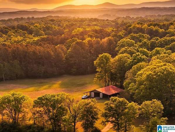 16.8 Acres of Land with Home for Sale in Talladega, Alabama