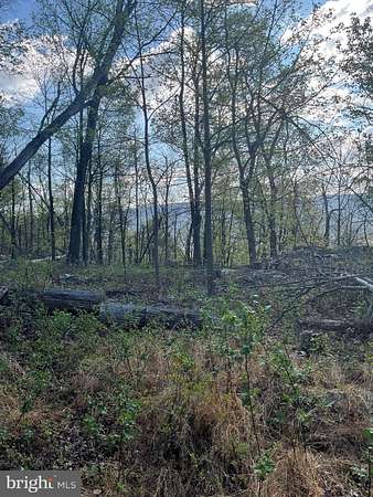 2.2 Acres of Residential Land for Sale in Paw Paw, West Virginia