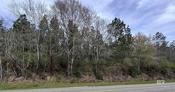 Residential Land for Sale in Atmore, Alabama