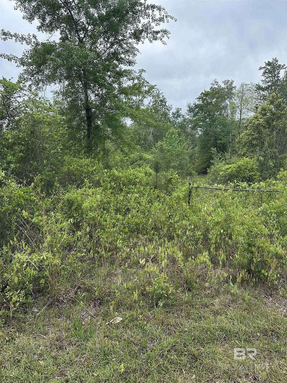 Land for Sale in Bay Minette, Alabama