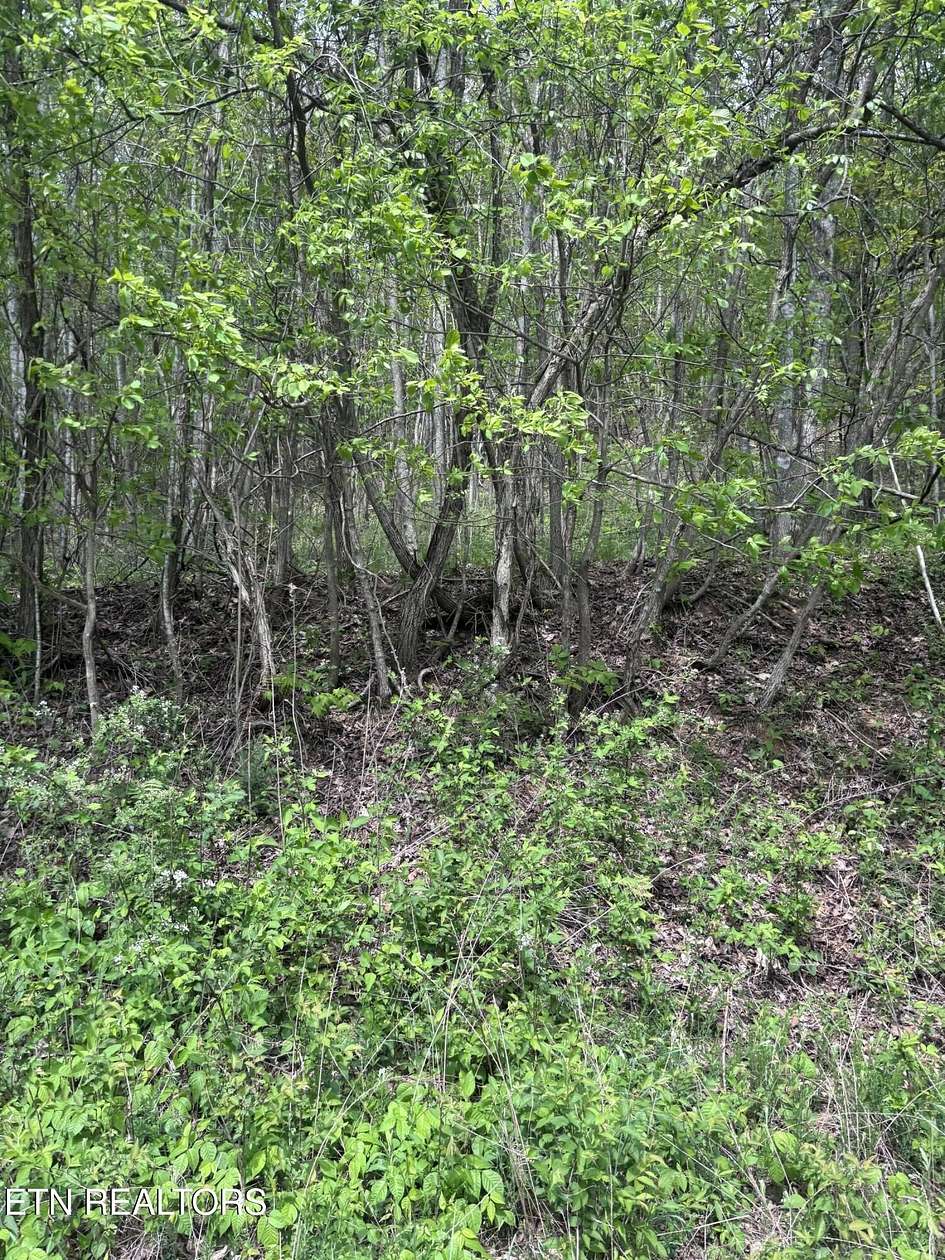 1.73 Acres of Residential Land for Sale in New Tazewell, Tennessee