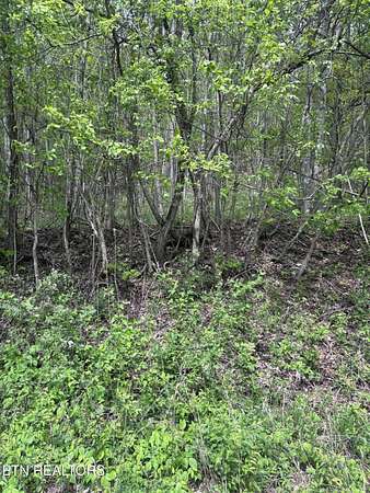 1.73 Acres of Residential Land for Sale in New Tazewell, Tennessee