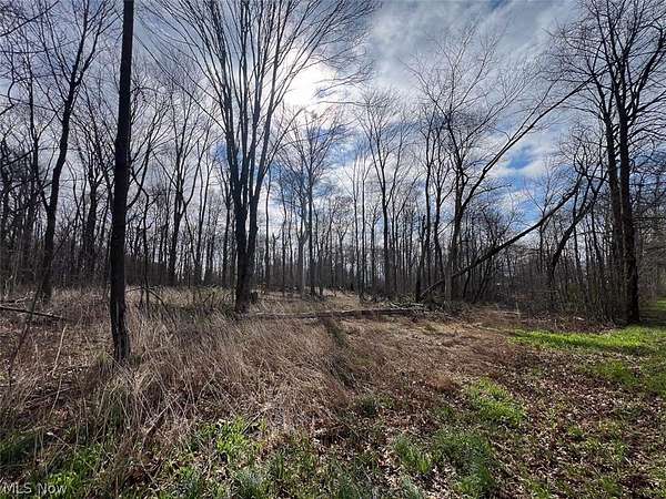 4 Acres of Residential Land for Auction in Alliance, Ohio