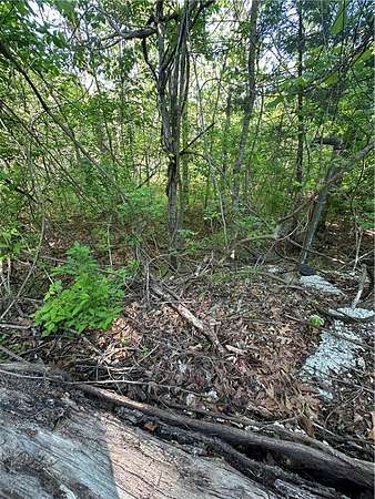 0.43 Acres of Residential Land for Sale in Bella Vista, Arkansas