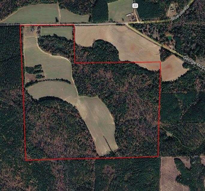 180 Acres of Land for Sale in Buena Vista, Georgia