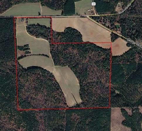 180 Acres of Land for Sale in Buena Vista, Georgia