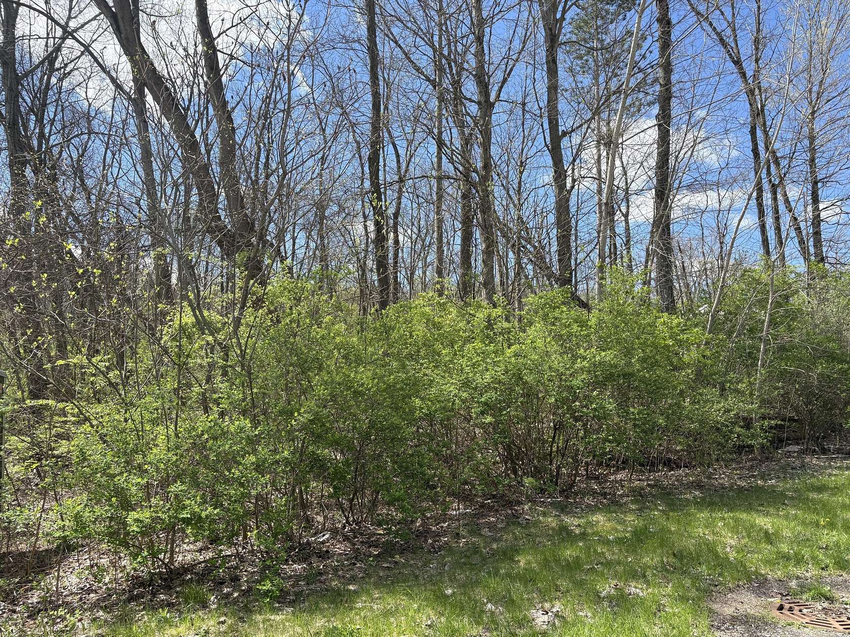 0.5 Acres of Residential Land for Sale in Niles, Michigan