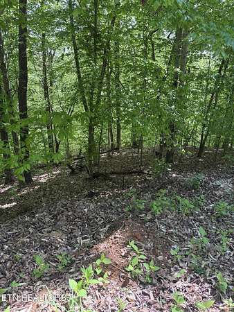 1.37 Acres of Residential Land for Sale in Sharps Chapel, Tennessee
