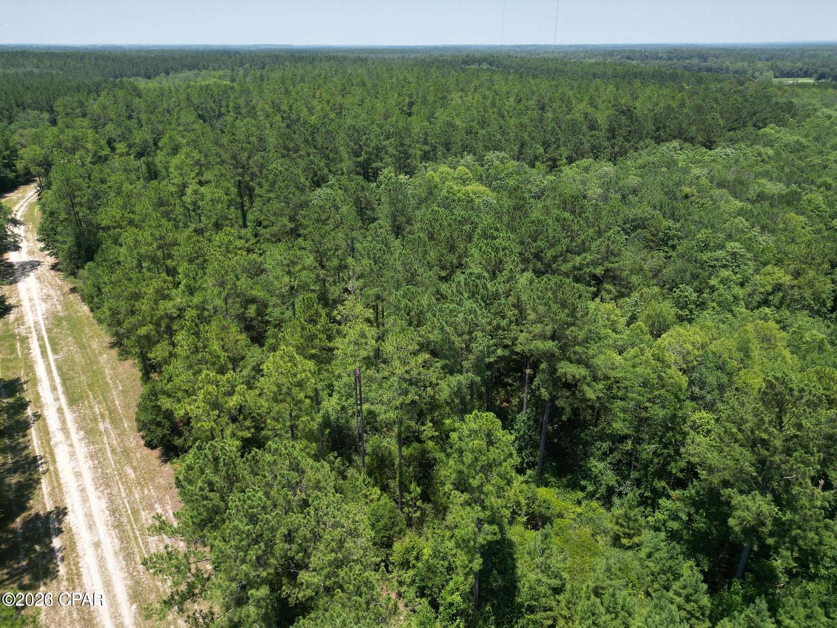 28.7 Acres of Land for Sale in Bonifay, Florida