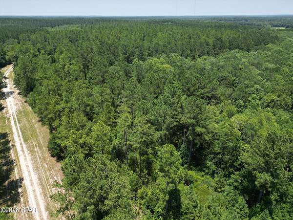 28.7 Acres of Land for Sale in Bonifay, Florida