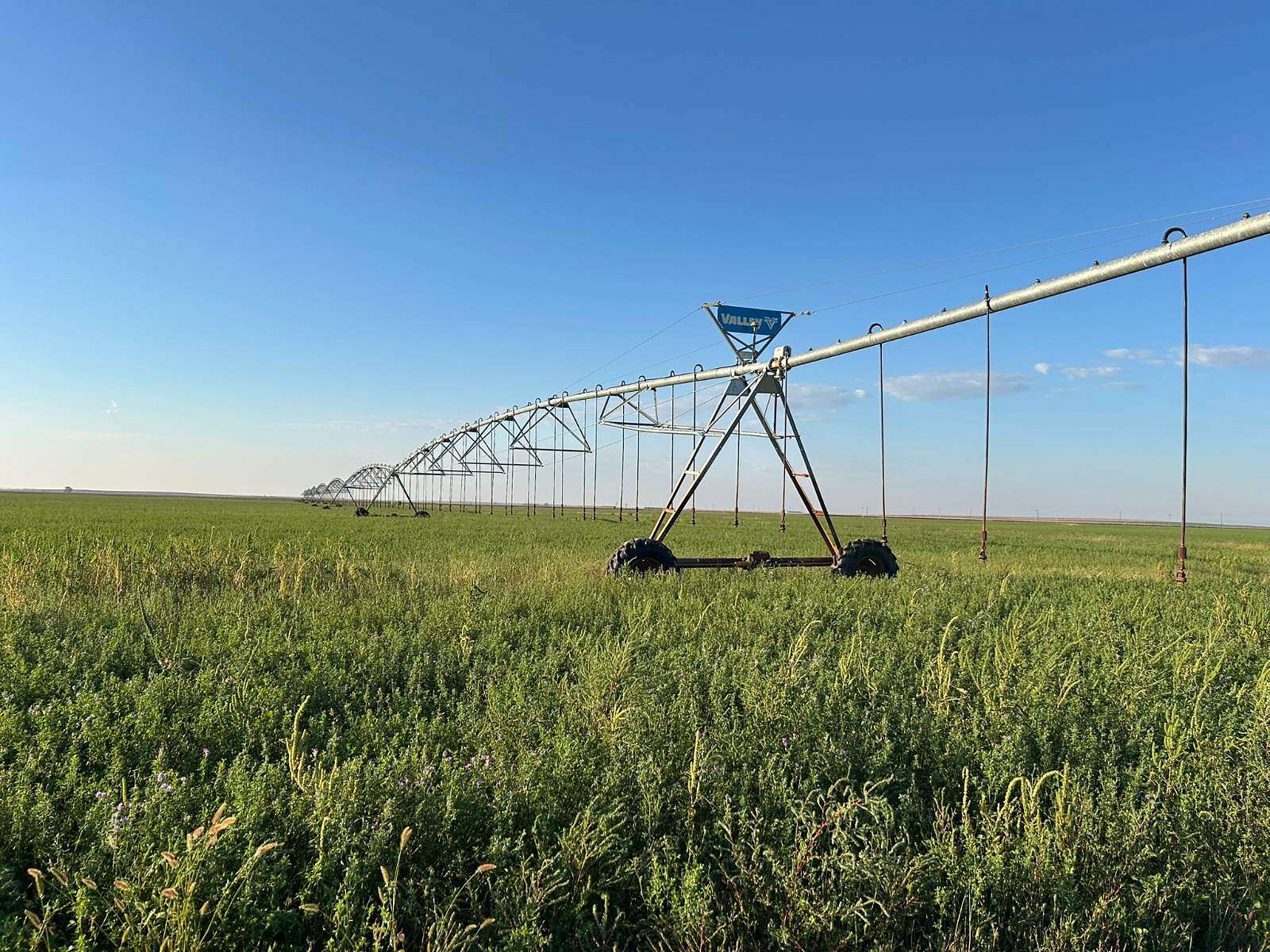 320 Acres of Agricultural Land for Sale in Rozel, Kansas